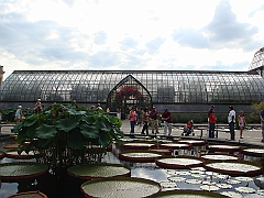 290 Longwood Gardens [2008 August 23]